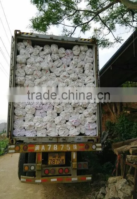 26~28mm tonkin bamboo poles/raw bamboo material/bamboo canes