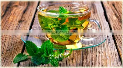 High Range Green Tea To Increase Your Immune System
