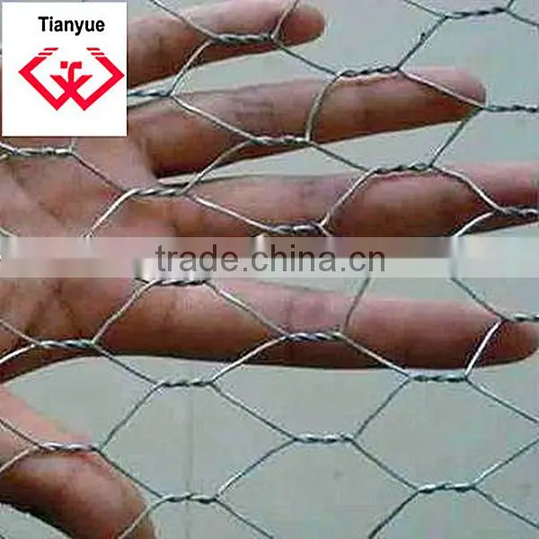 Chicken Mesh(direct factory)