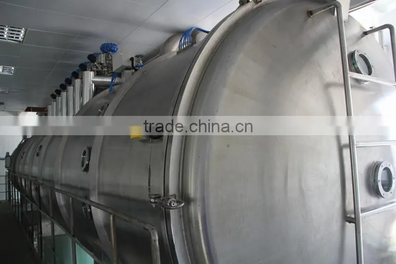 Vacuum continuous drying equipment for granular application