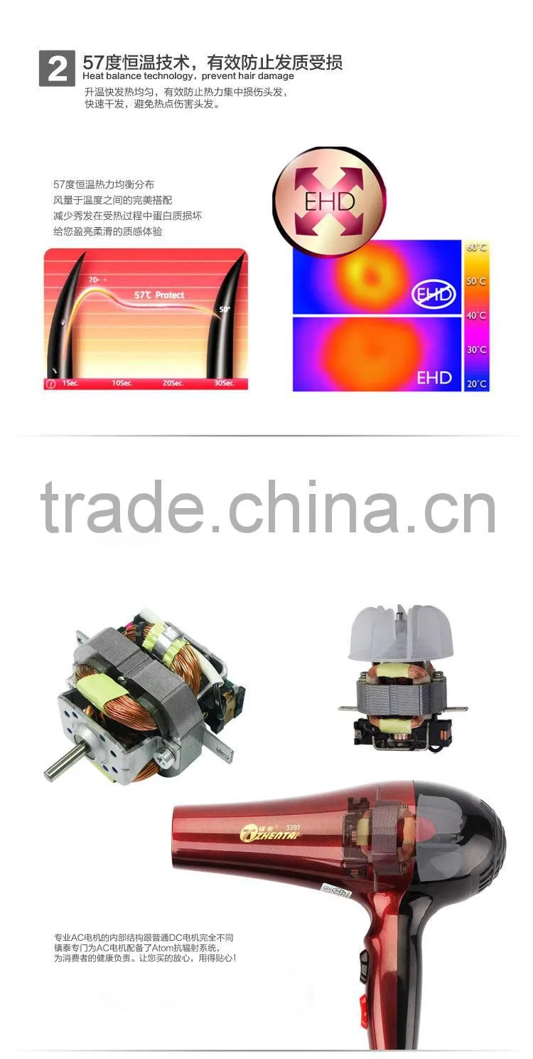 Professional Or Home Use High-Power Hair Dryer