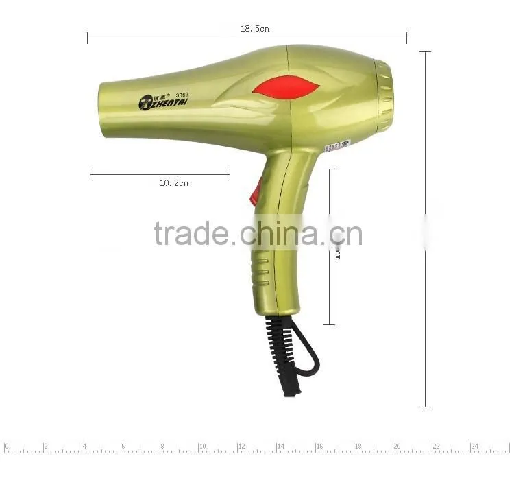 Ionic Professional Hair Dryer, 1200W to 2000W