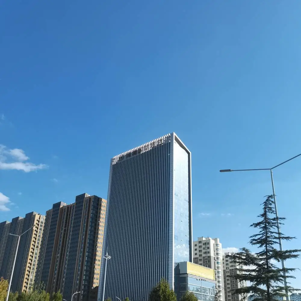 Shandong Jieyao Technology Development Co., Ltd. company overview - view 1