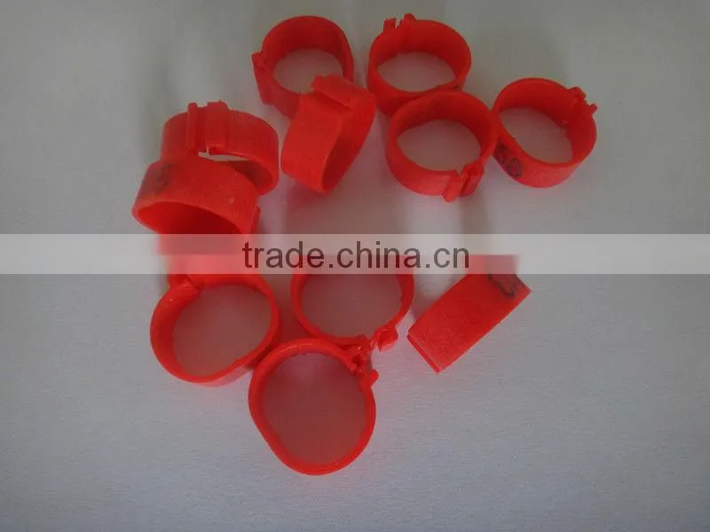 small plastic leg rings to distinguish chicken or birds