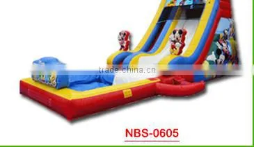 New Point Cheap inflatable double water slides, water slide for inflatable pool