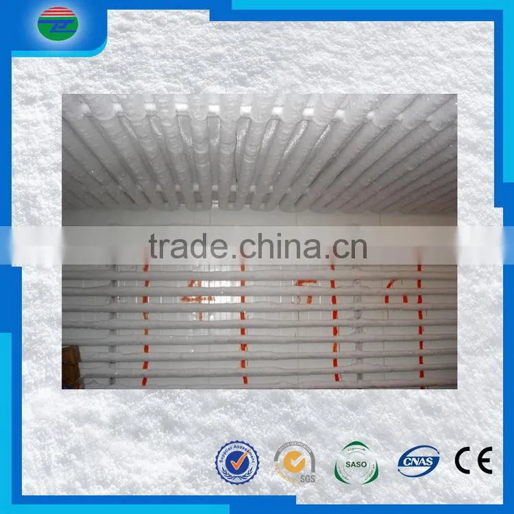 Competitive price latest movable cold room/cold storage for fish