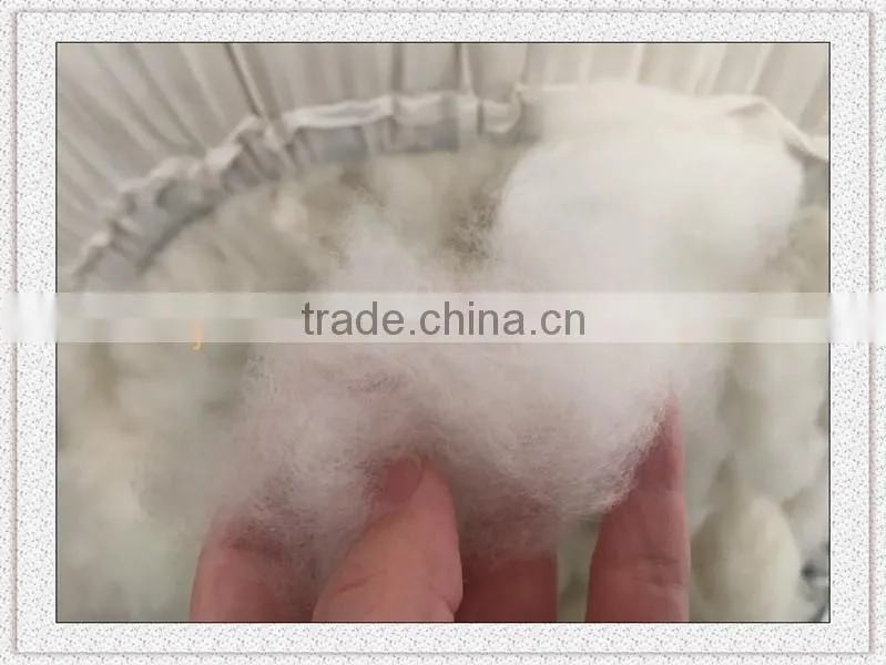 Precious Dehaired Goat Cashmere Fiber For Cashmere Sweater