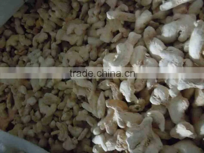 2015 best quality dried ginger
