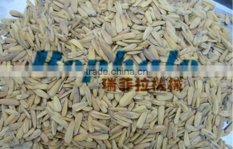 All kinds feeds Fry machine