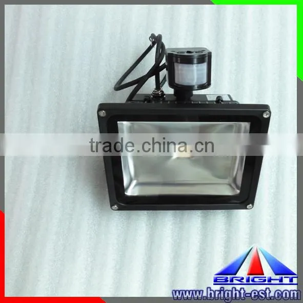 New Style LED Flood Light 2400-2600 Lm 100-240 V/AC