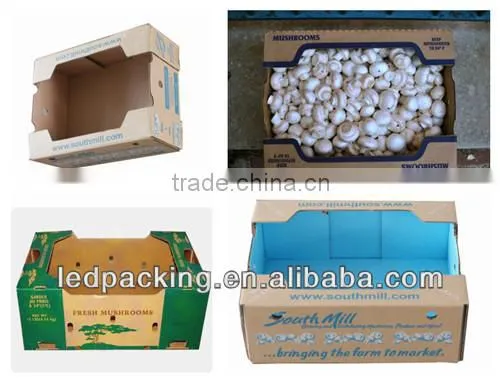 Mushroom corrugated carton boxes