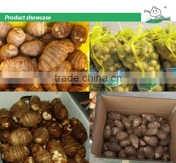 New fresh taro/Natural taro/new crop Chinese taro