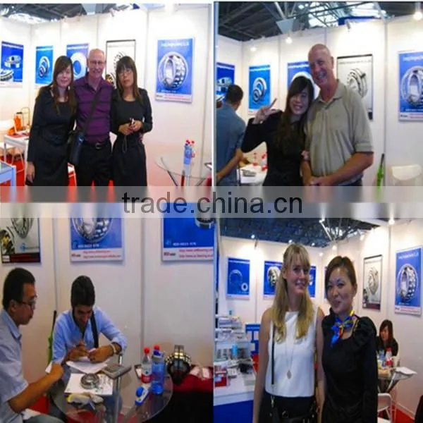 china insert bearings GRAE35-NPP-B