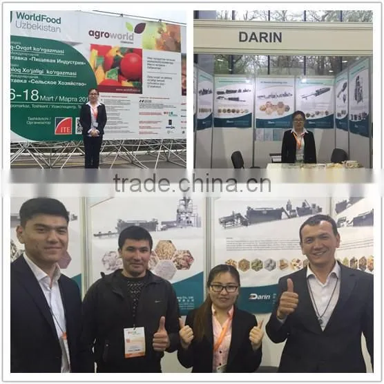 CE Certified Inflated Corn Snack Food Extruder Machine