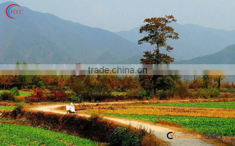 painting factory beautiful printed landscape paintings