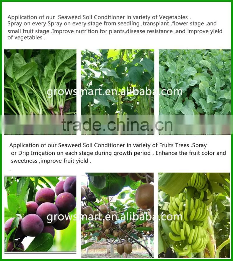 seaweed soil conditioner humic acid organic fertilizer