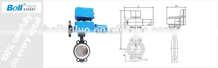 Stainless steel Wafer Type Cast Iron Butterfly Valve