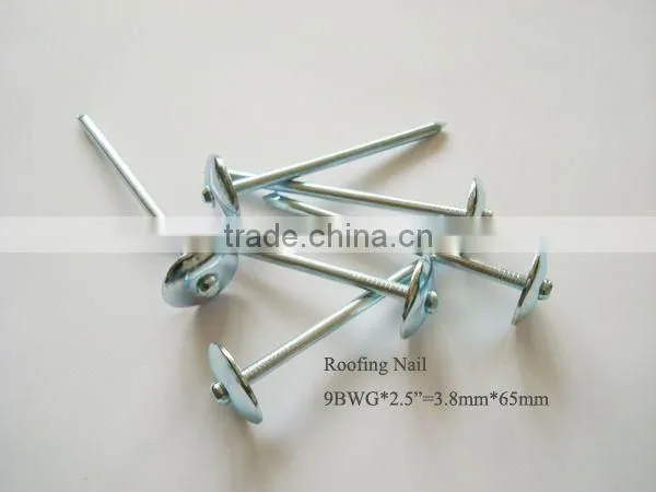 round head roofing nails with umbrella