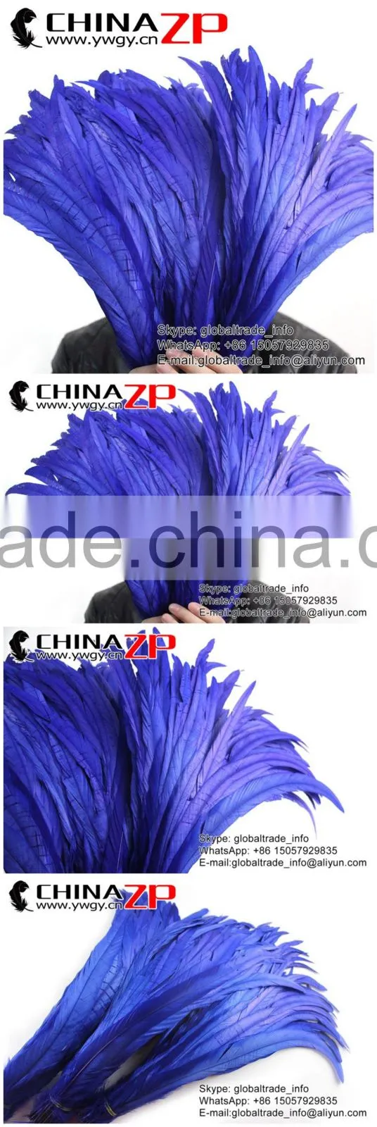 Leading Supplier CHINAZP Wholesale Colored Royal Blue Chicken Fully Dyed Roosters Feathers for Show