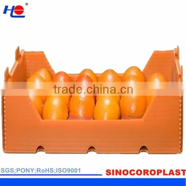 Plastic Fruit Packaging Box