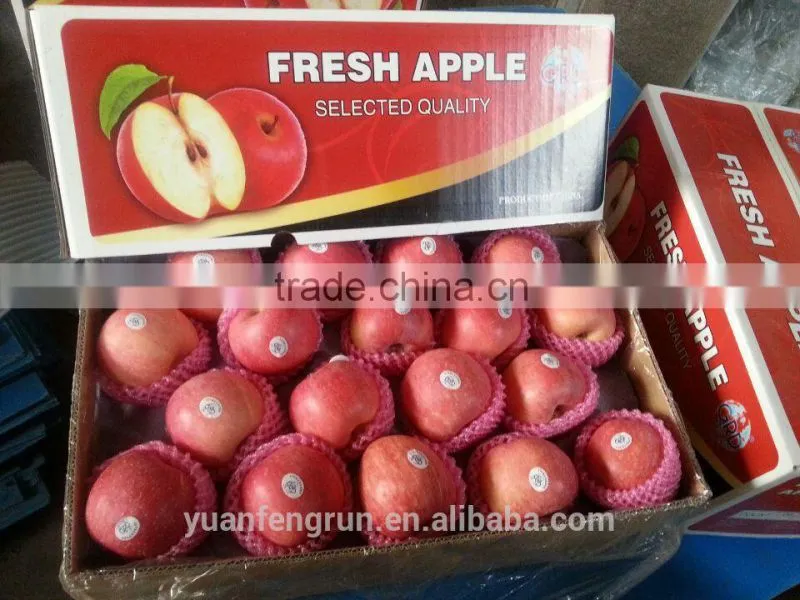 Red Fuji Apple