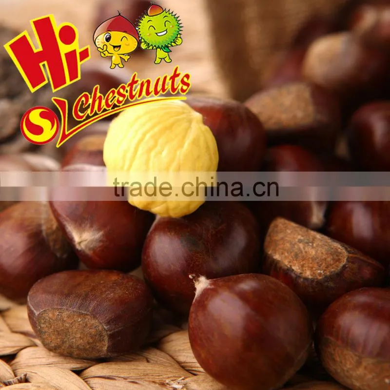 Best Chinese chestnuts for sale--Organic kuancheng Chestnuts