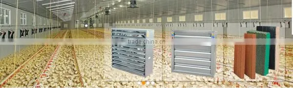 Automatic Poultry Feeding System/Auger Feed System For Poultry
