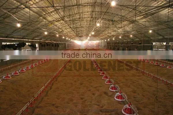 poultry coreless auger