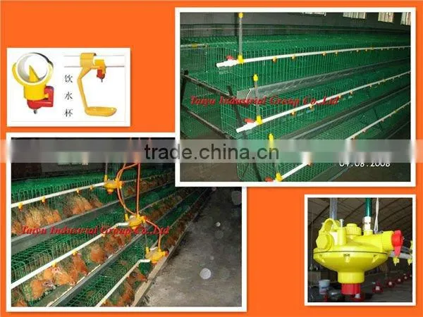 layer poultry rearing cages for Nigeria/Africa