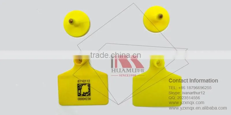 TPU ear tag for calf in yellow 60*56 mm
