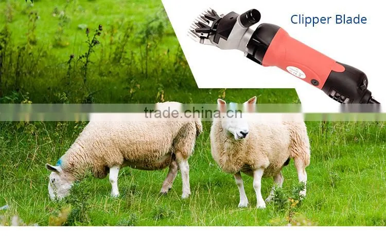 Manufacturers provide special blister package sheep hair clipper blade sharpener