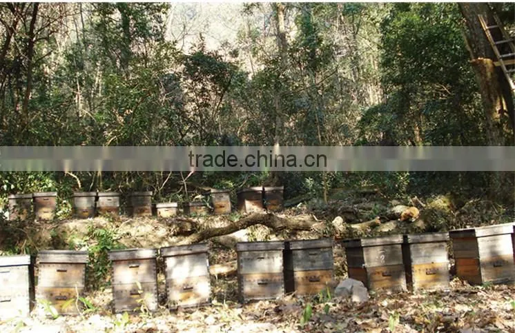 beekeeping supplies raw propolis from China
