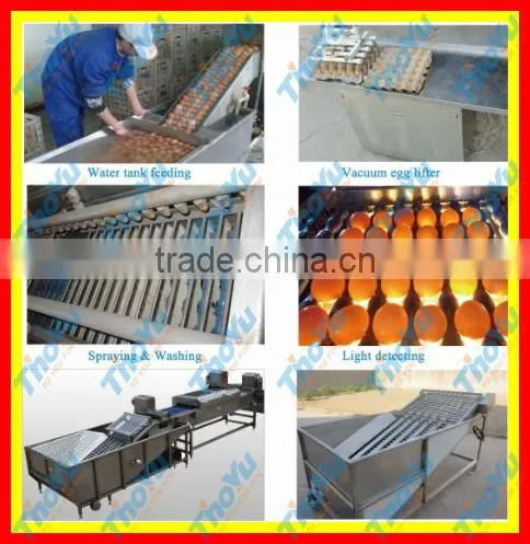 best selling Egg yolk and white seperator 10000pcs/h on Bakery exhibition +86-133-3371-9169