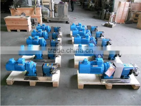 3000Litrs per hour High Quality Cam Rotor Pump