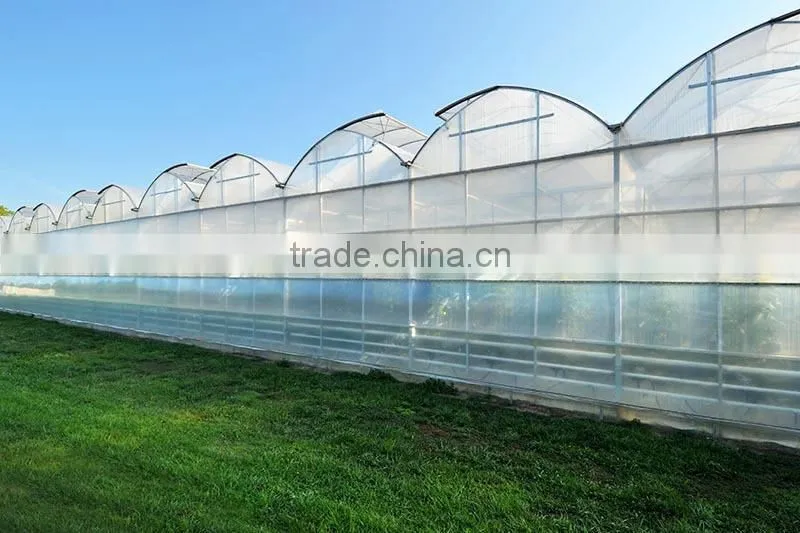 Low cost plastic agriculture greenhouse