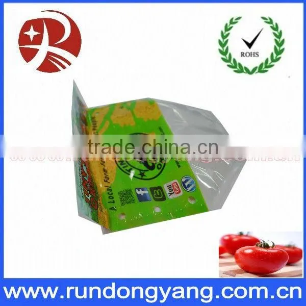 Printed stand up zip lock plastic bag for friut packaging