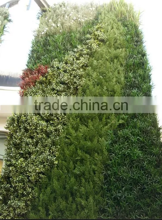 Exterior grade green walls made with Buxus sprays to create a simple green backdrop