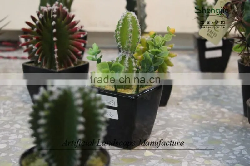 mini succulent plants potted plants for decoration