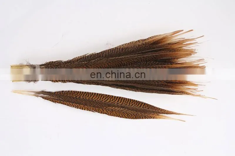 best quality 30-40cm pheasant feather