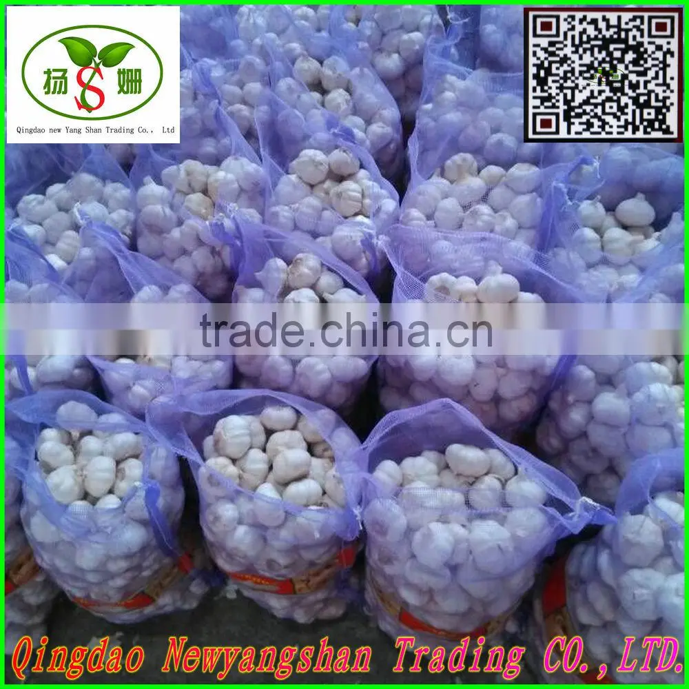 Pollution-free garlic/pure white garlic, garlic exports