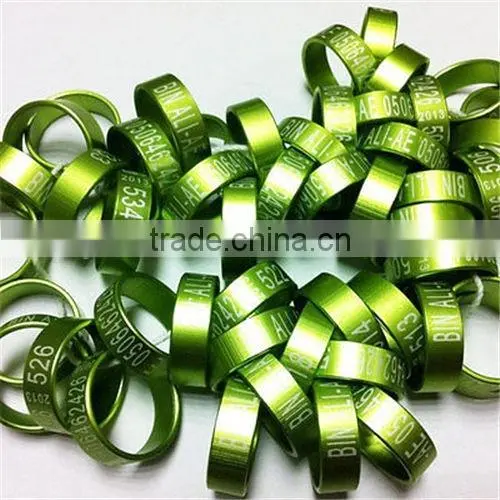 Matal Pigeon Racing Ring