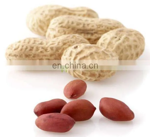 Commercial peanut butter production line/Industrial peanut butter machine/Peanut butter processing equipment