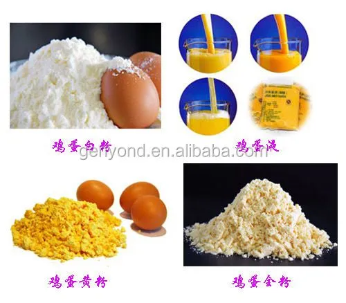 Dried Whole Egg Processing Line / Whole Egg Powder Making Machine