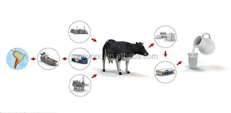 Factory Price Infant Formula Milk Powder Processing Plant