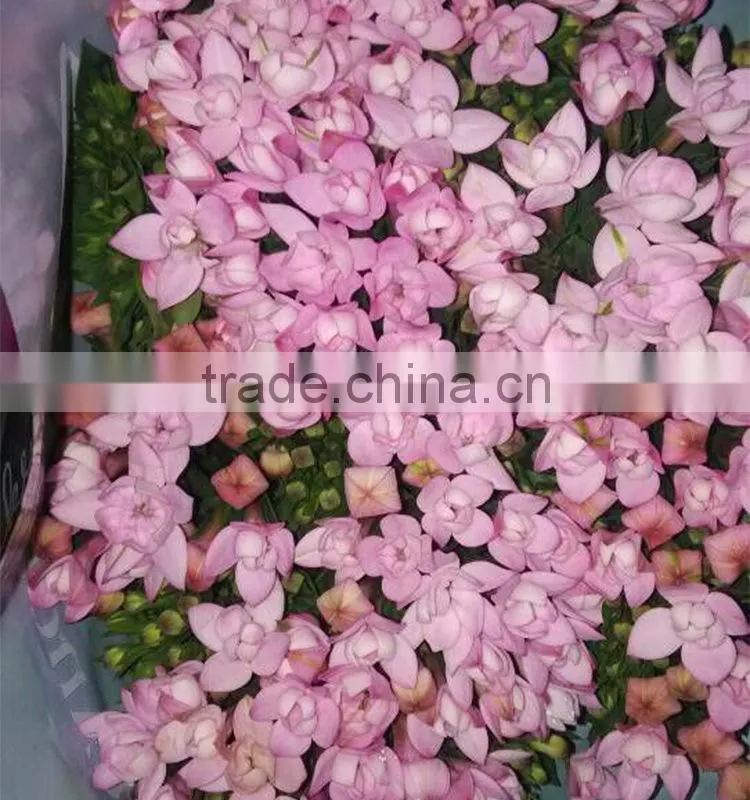 Fresh cut Chimeras wedding decoration fresh cut flowers