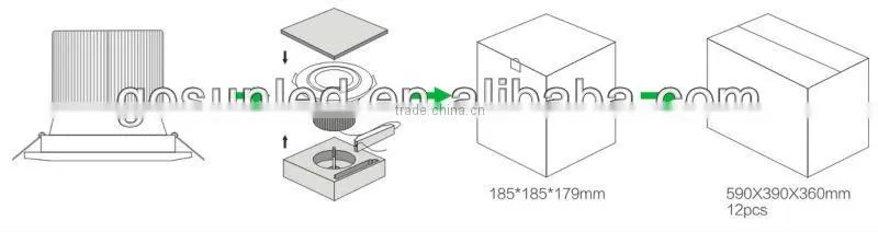 Epistar/Cree chips Recessed 30W COB LED Ceiling Downlight