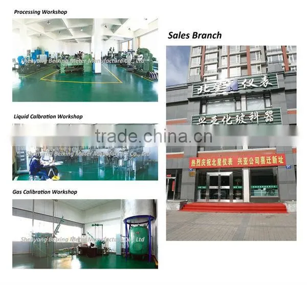 QZL Gaseous mass flow meter/Gas flow meter