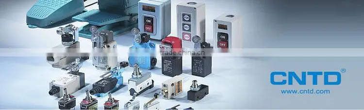 CE /TUV Approved High Accuracy Waterproof Micro Switch (CM-1701)