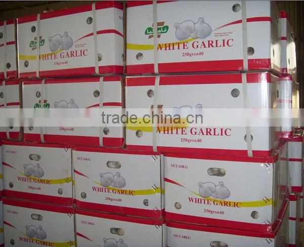 Red garlic with lowest price 2016