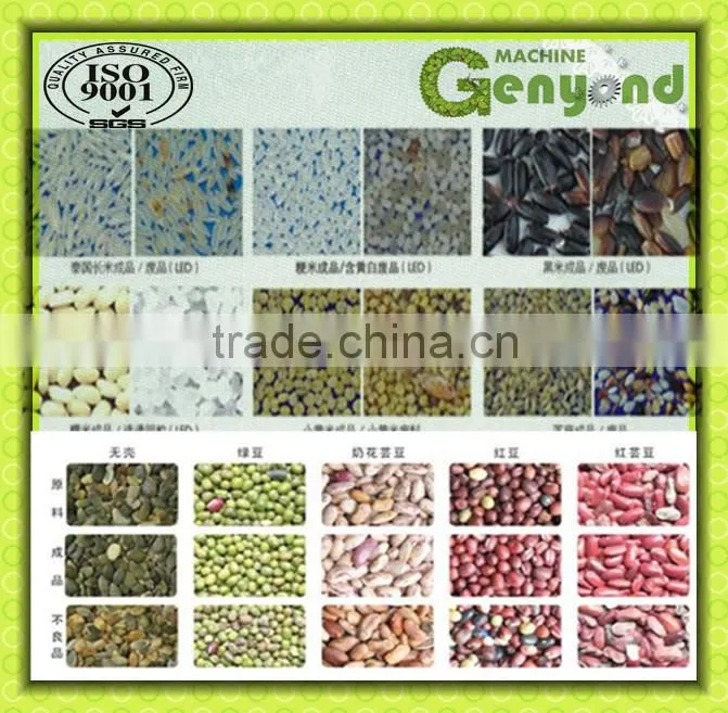 High Quality DATES Color Sorting Machine